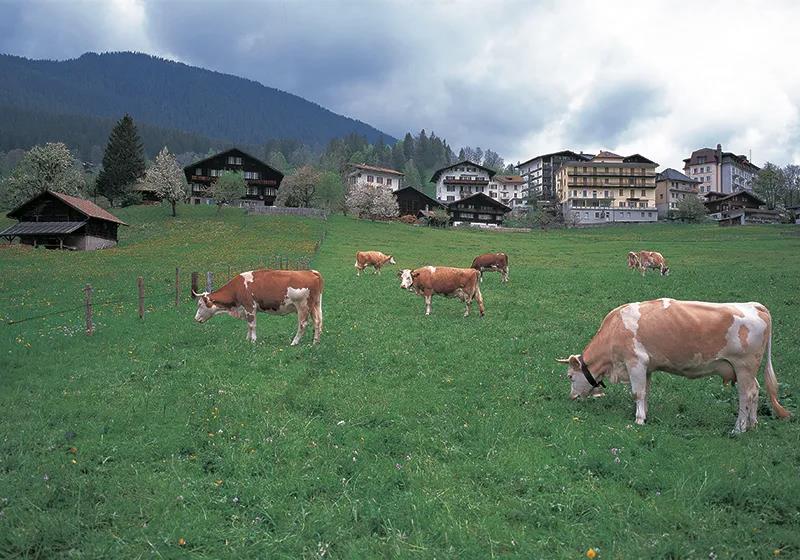 1-200G01353523Q 1-200G01353523Q